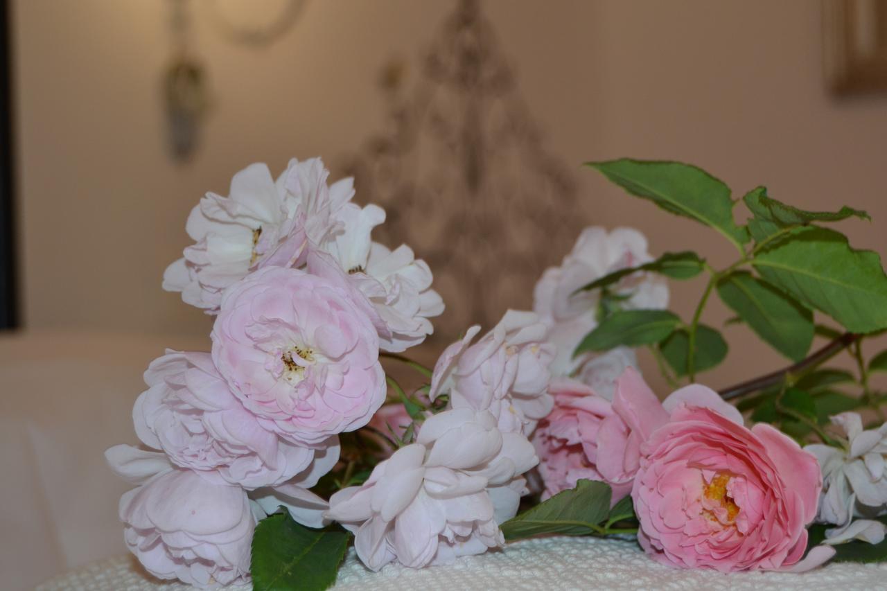 B&B Villa Il Poggiolino 몰리노데피아노 외부 사진